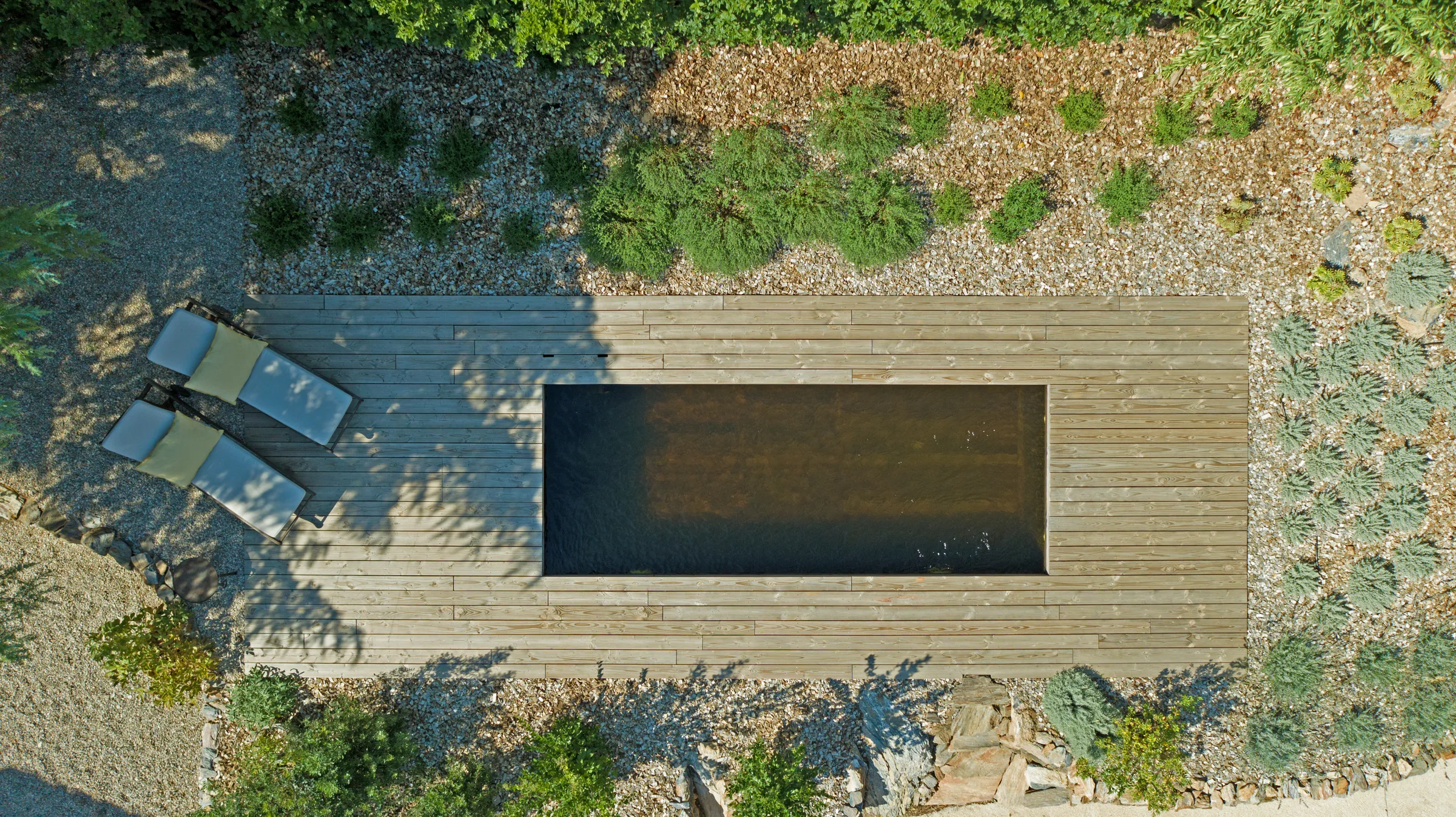 Piscine naturelle avec habillage bois massif
