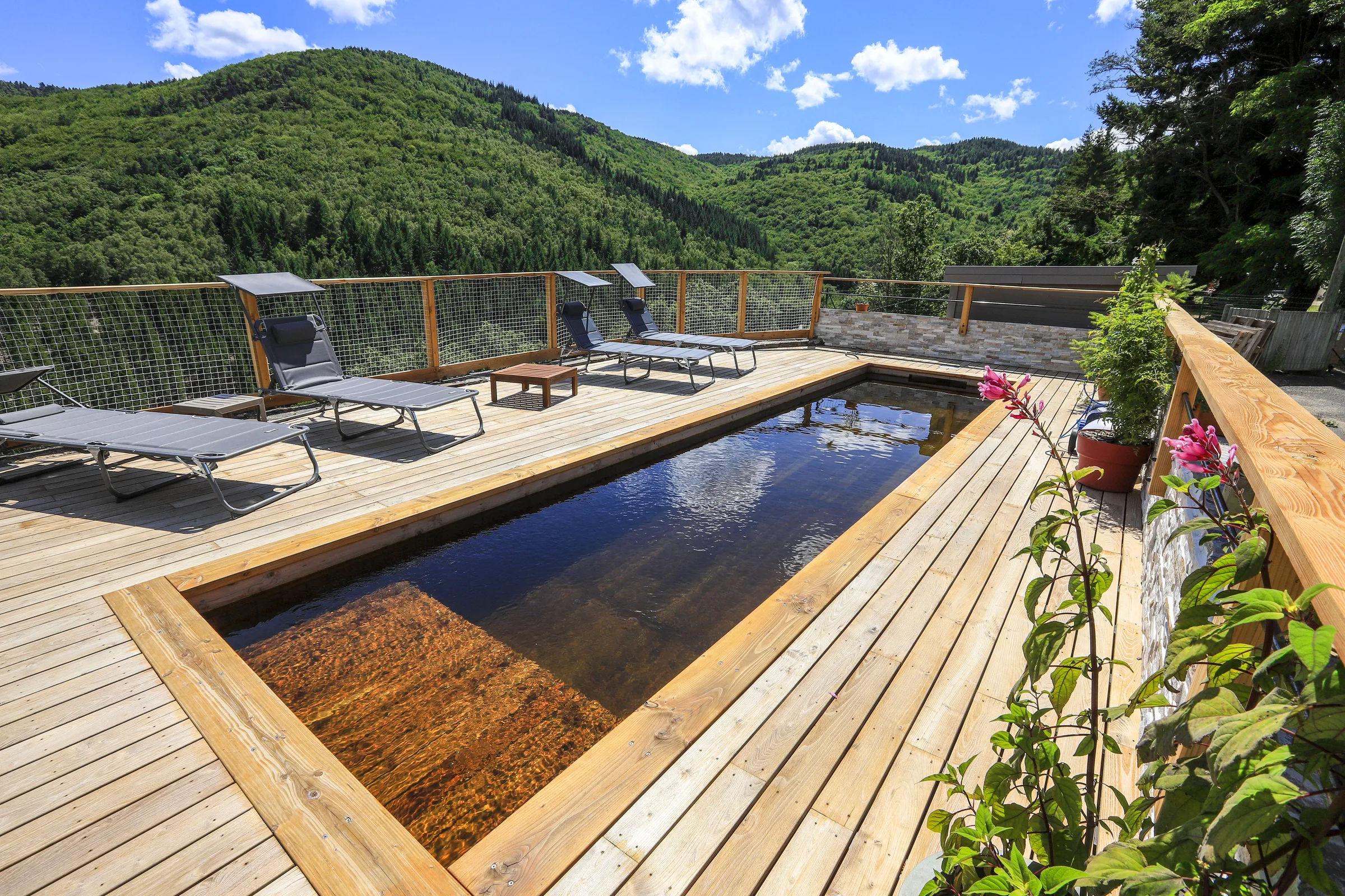 Piscine naturelle en bois