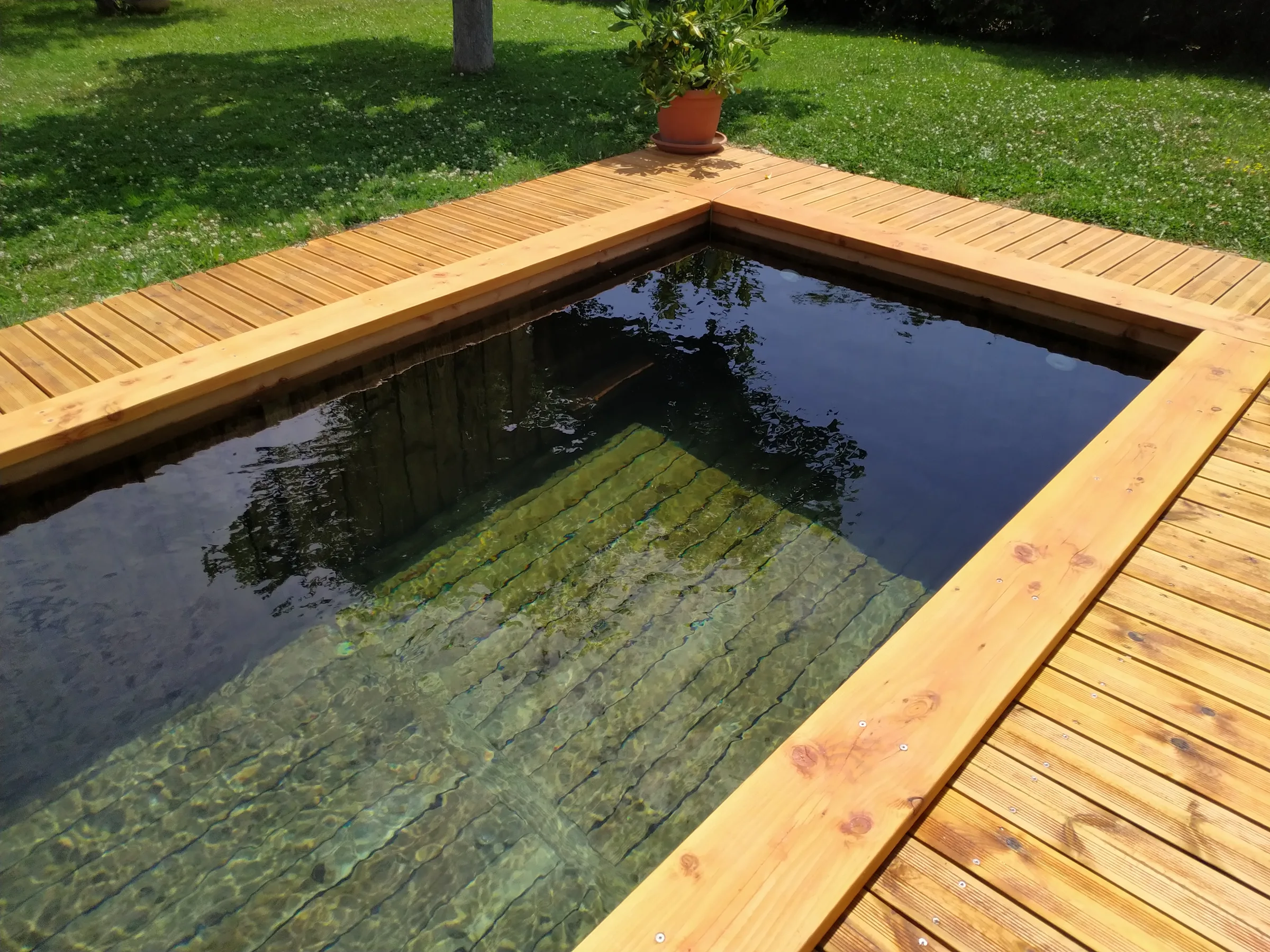 Bassin écologique en bois entouré d'un aménagement paysager