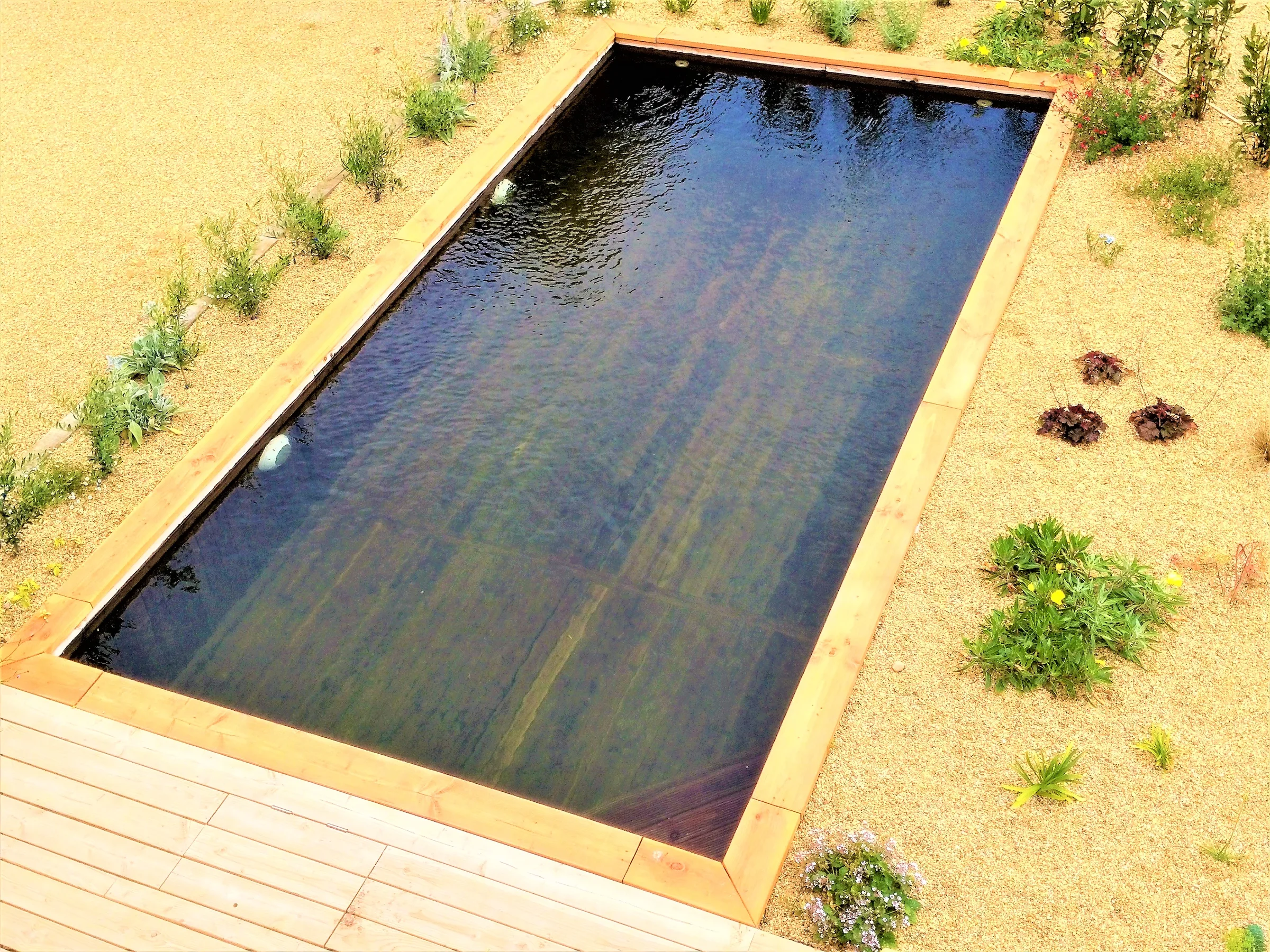 Bassin naturel BioPoolTech en bois